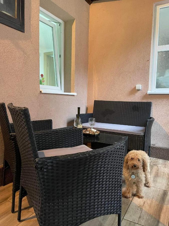 Pro Arte Apartament